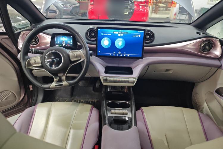 Used BYD Dolphin 2021 405 km Fashion Edition Center Console