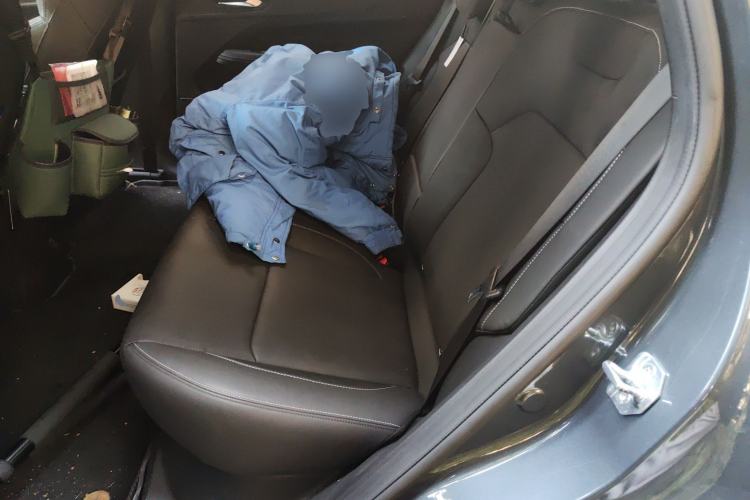 Used Livan 7 2023 605 km ZHU FENG Left Rear Seat