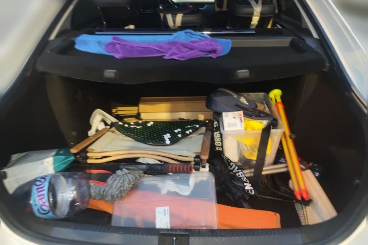 Used Skoda Octavia 2018 1.6L Automatic Luxury Edition
