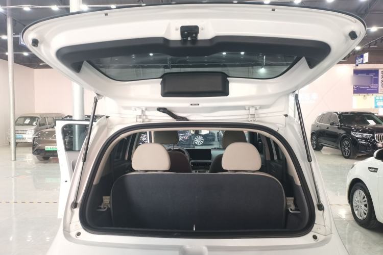 Used ORA White Cat 2020 305 km Luxury Version Trunk