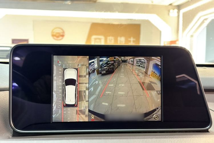 Used Lexus RX 2016 300 4x4 Elegant Edition China VI