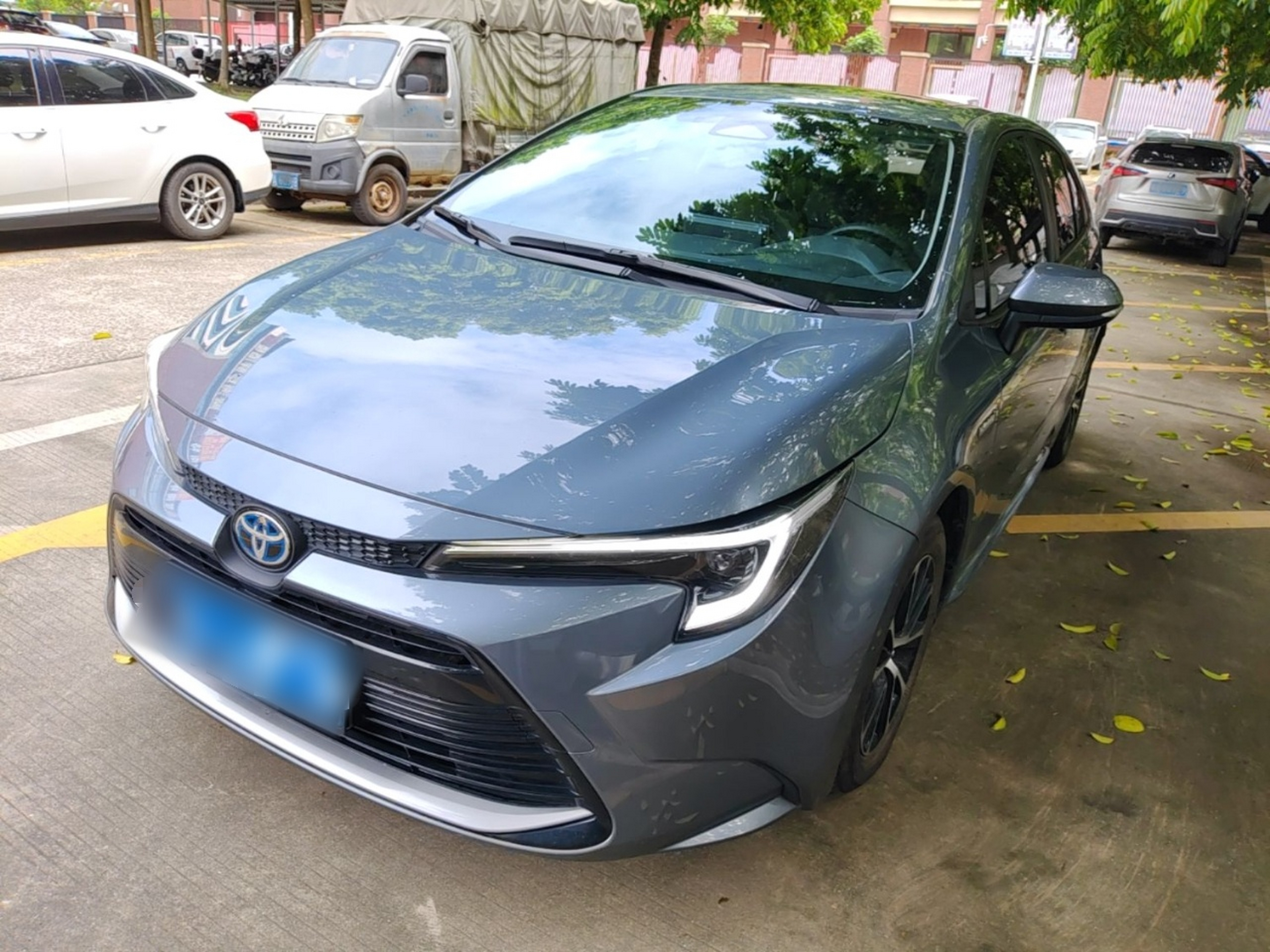 Under Front Bumper