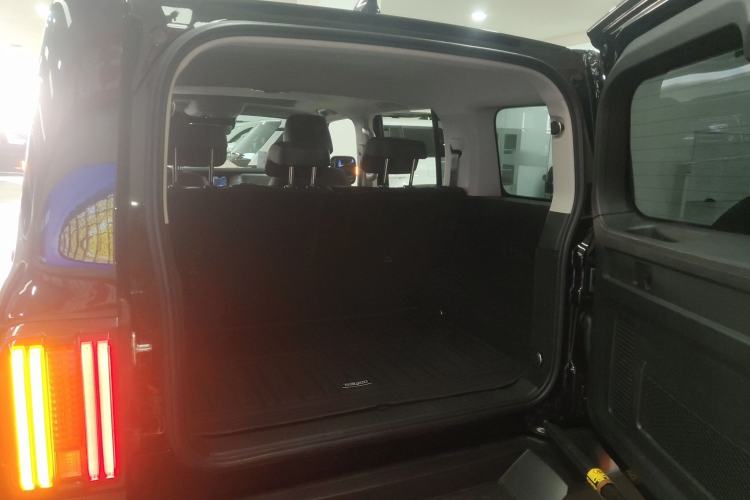 Used Tank 300 2024 2.0T Conqueror
