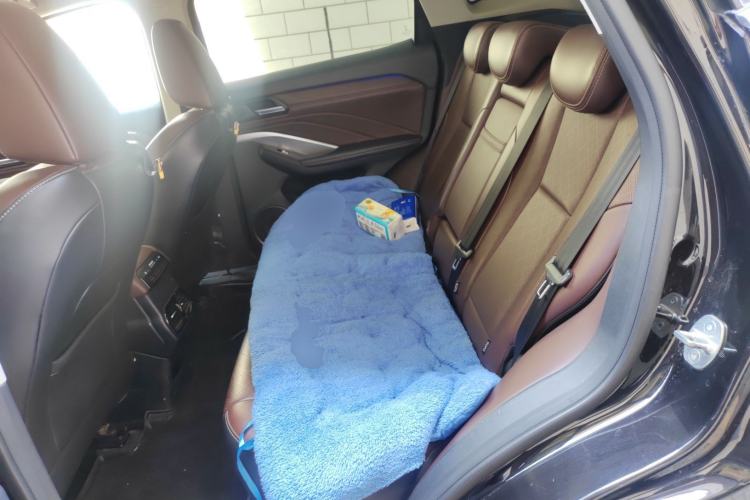 Used Wey VV6 2018 2.0T Two-Wheel Drive Flagship Version China V Standard Left Rear Seat