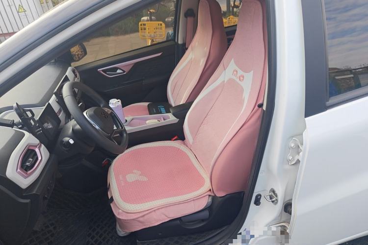 Used SOL E10X 2022 Flower Fairy Design Four-Leaf Clover