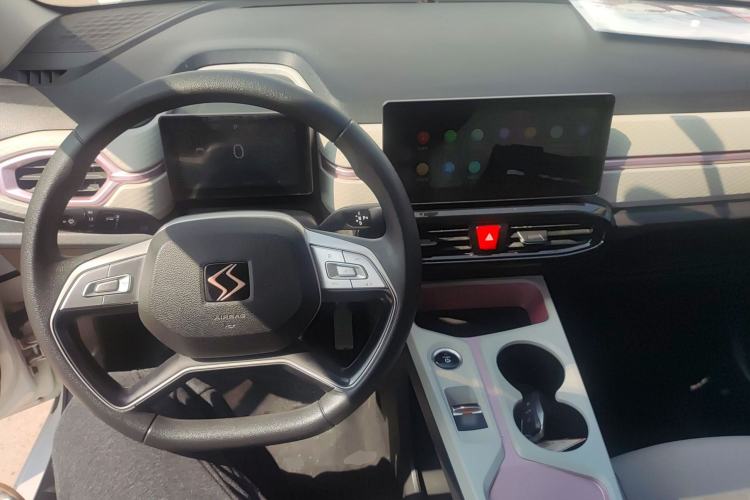 Used SOL E10X 2022 Flower Fairy Design Four-Leaf Clover