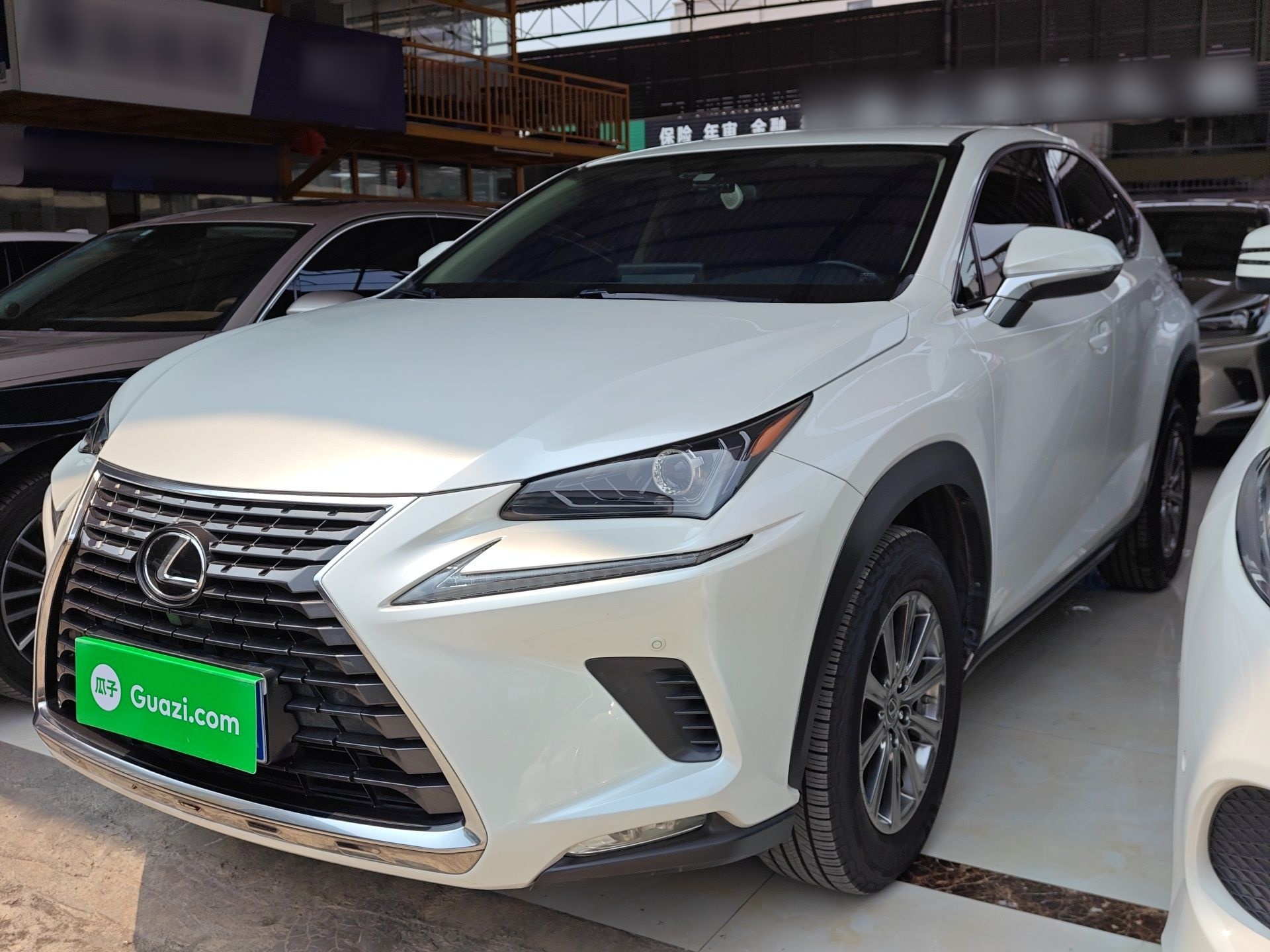 Parte inferior delantera