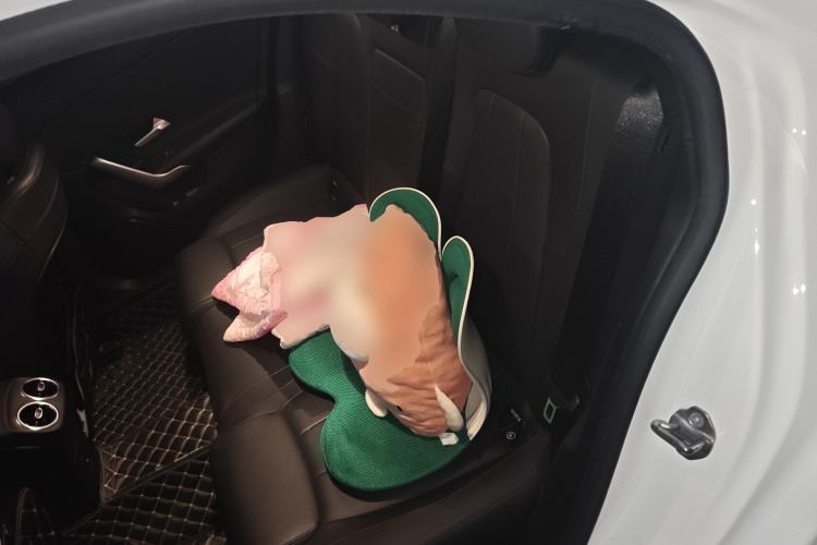 Used Mercedes-Benz A-Class 2021 Restyled A 180 L Sport Sedan Left Rear Seat