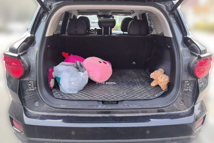 Used Haval H Dog 2023 1.5T Two-Wheel Drive Chao Ye Version Plus