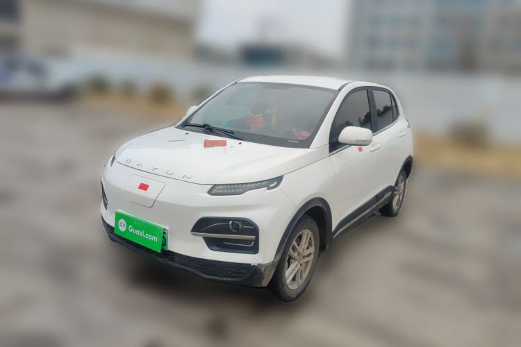 Used Dayun Yuehu 2022 300 Standard Edition