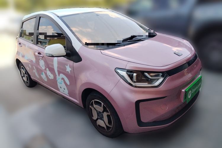 Used SOL E10X 2022 Flower Fairy Style Baby's Breath