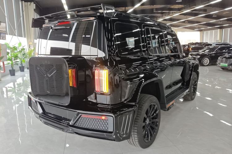 Used Cyberspace Tank 300 2023 2.0T Cyber Knight