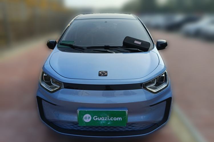 Used SOL E10X 2022 Flower Fairy Design Four-Leaf Clover Front