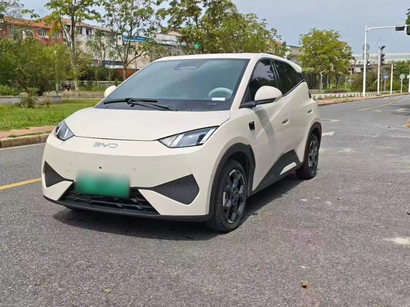 Used BYD Seagull 2025 Smart Drive Version 305 km Freedom Edition — 1