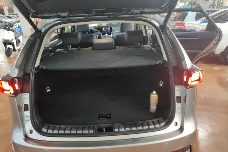 Used Lexus NX 2020 300h All-Wheel Drive FENGZHI Version China VI Standard
