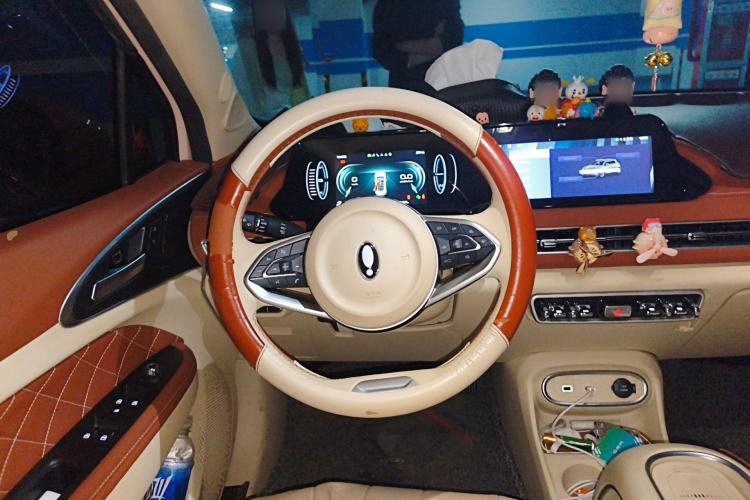 Used ORA Good Cat 2023 401 km Standard Range Luxury Version Lithium Iron Phosphate