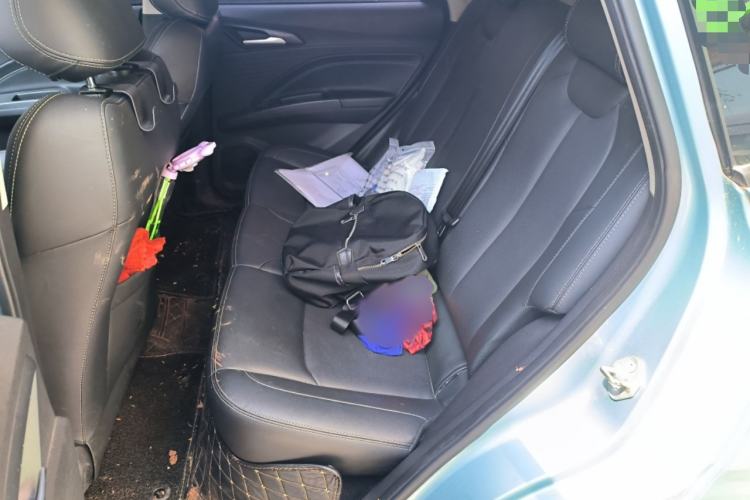 Used NETA V 2021 Long-Range Entertainment Edition Upgrade Model