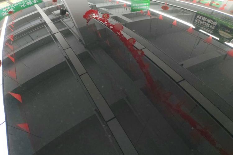 Used Tesla Model Y 2023 Rear-Wheel-Drive Version
