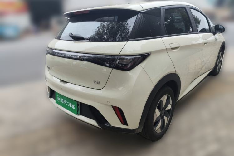 Used BYD Dolphin 2025 420km Free Edition