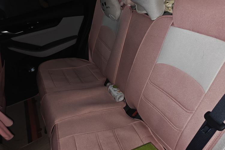 Used BYD Qin PLUS 2023 Champion Edition DM-i 55KM Leading Model
