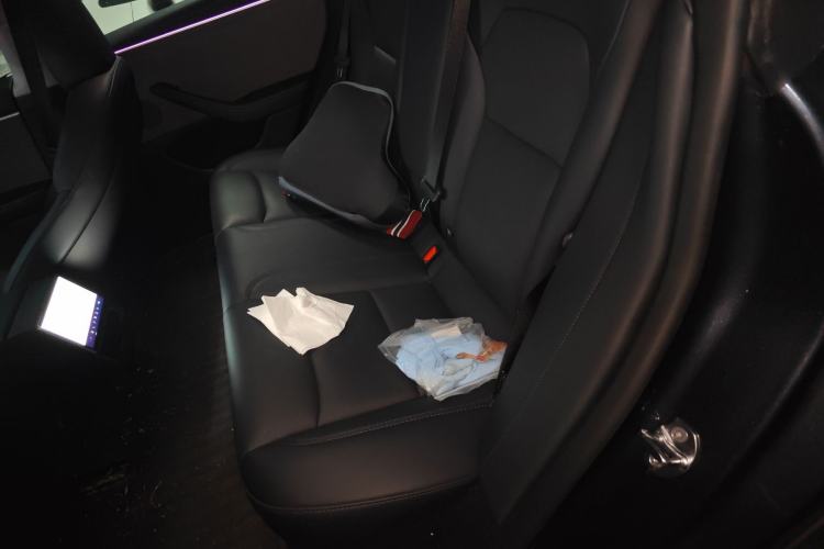 Used Tesla Model 3 2023 Rear-Wheel-Drive Version
