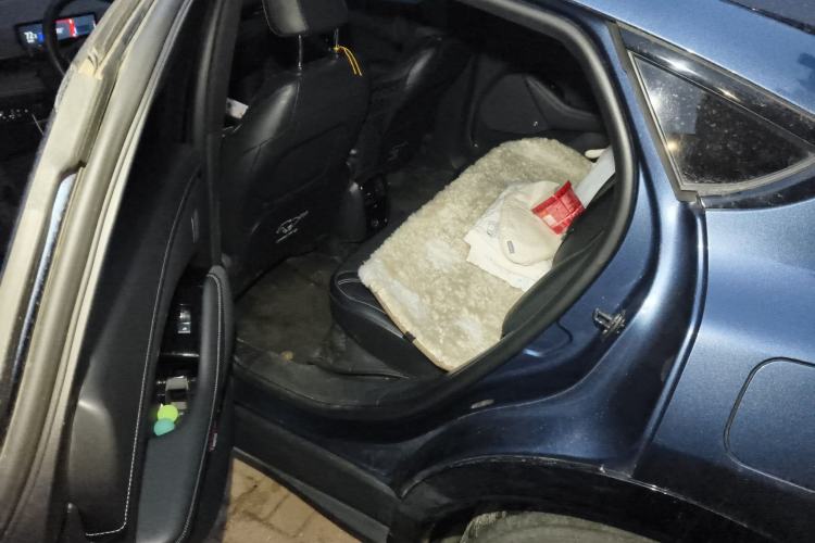 Used Ford Mustang Mach-E 2021 AION Y Plus Rear-Drive Luxury Edition (Long Range)
