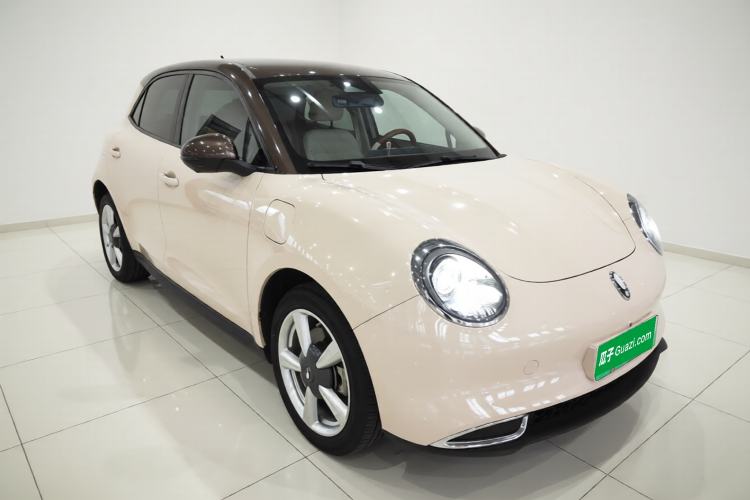 Used ORA Good Cat 2023 401 km Standard Range Luxury Version Ternary Lithium