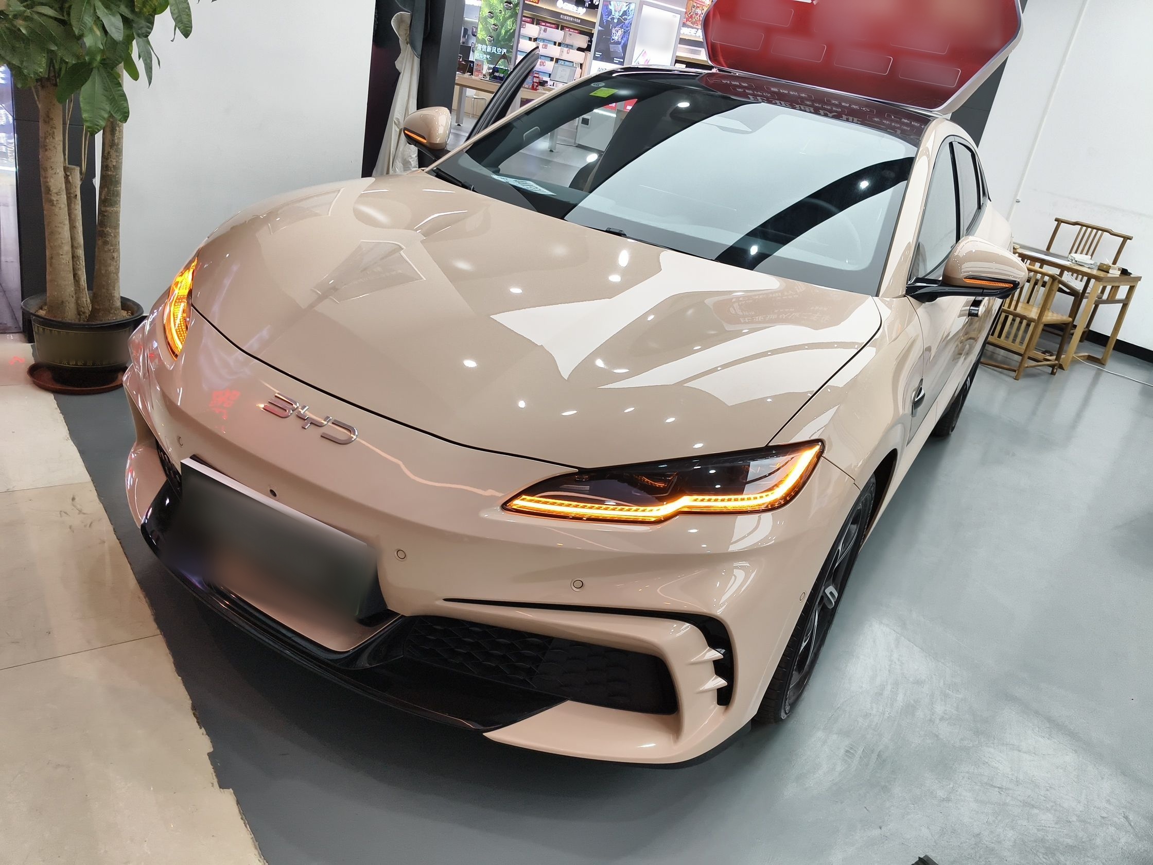 تحت مقدمة السيارة