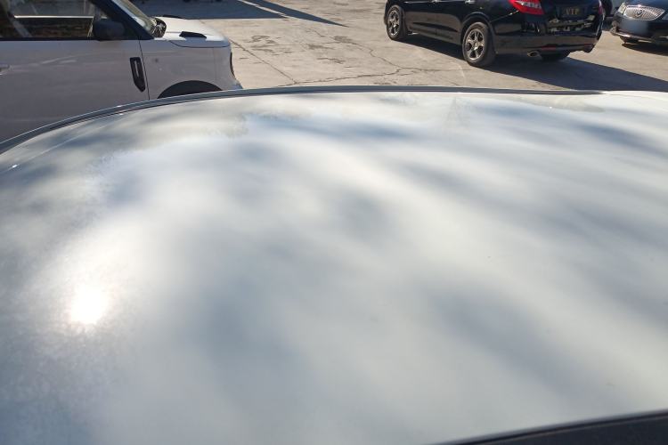 Used SOL E10X 2022 Flower Fairy Design Four-Leaf Clover Roof