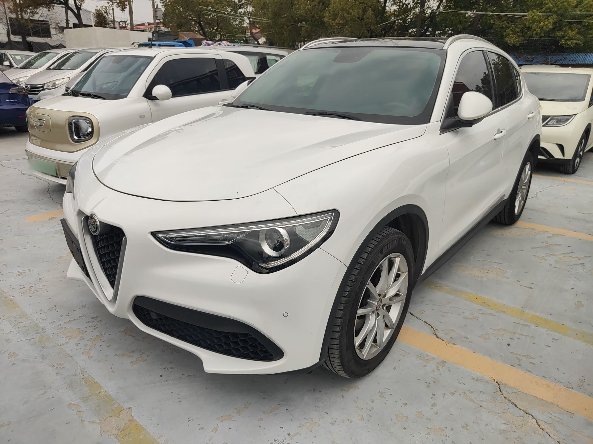 تحت مقدمة السيارة