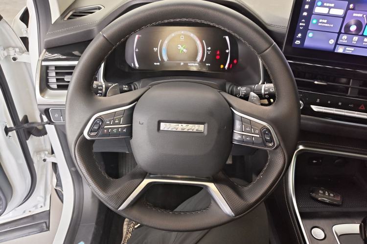 Used Haval H6 2021 National Trend Edition 1.5T Automatic Champion Version
