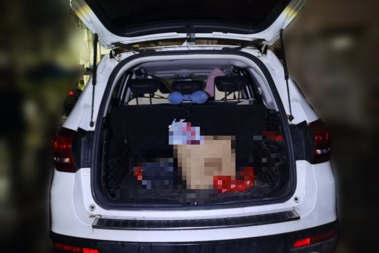 Used Haval H6 2019 Sport Edition 1.5T Automatic Two-Wheel Drive Elite Model China VI