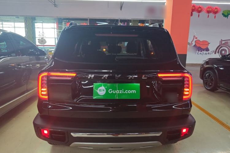 Used Haval DARGO 2021 2.0T DCT 4x4 Chinese Rural Dog Edition Rear