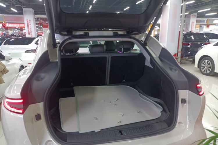 Used IM LS6 2023 Max Standard Edition
