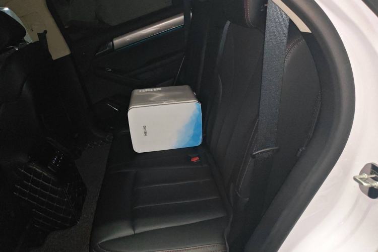 Used BYD Tang New Energy 2019 EV600D Four-Wheel Drive Smart Connect Genesis Edition Left Rear Seat