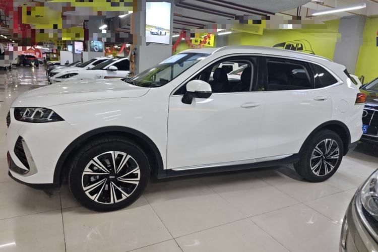 Used Wey Latte DHT 2022 1.5T DHT Extra-Large Cup
