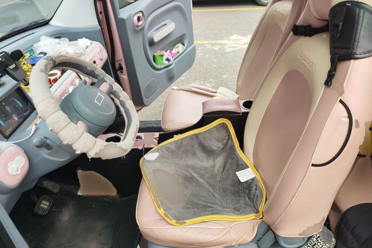 Used Bestune Pony 2024 170km Range Energizing Horse Left Front Seat