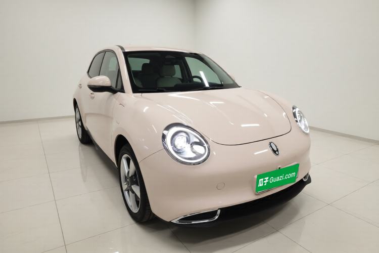 Used ORA Good Cat 2022 Morandi Edition 400km Standard Range Premium Version Lithium-Ion Battery
