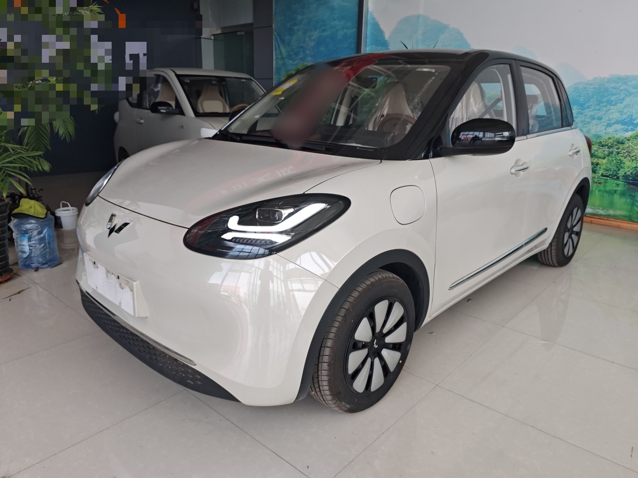 تحت مقدمة السيارة