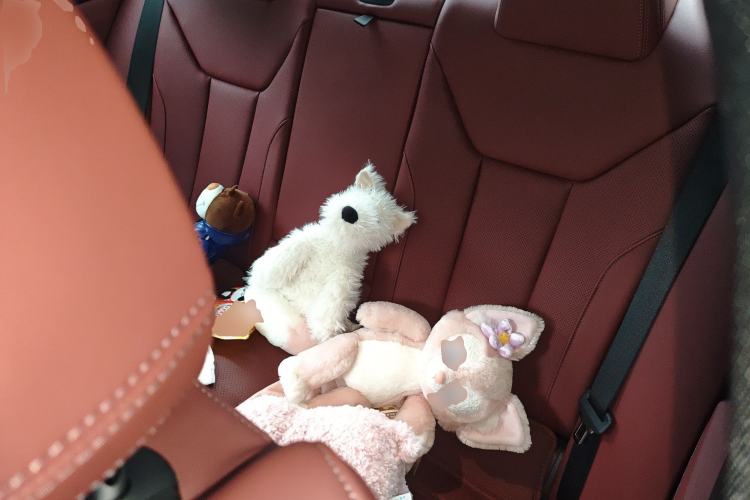 Used BMW 4 Series 2024 430i M Sport Night Edition
