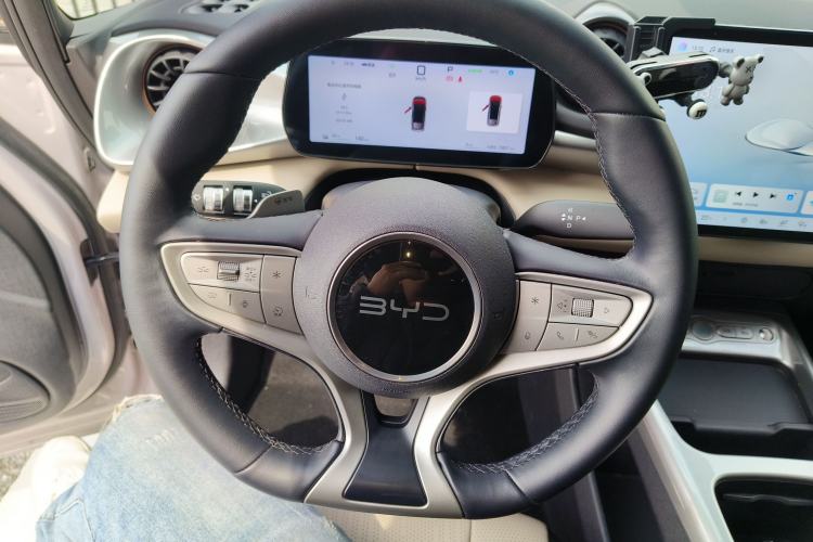 Used BYD Dolphin 2025 Smart Drive Version 420 km Freedom Edition
