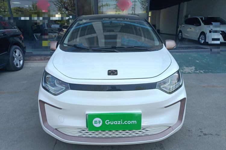 Used SOL E10X 2022 Flower Fairy Style Baby's Breath
