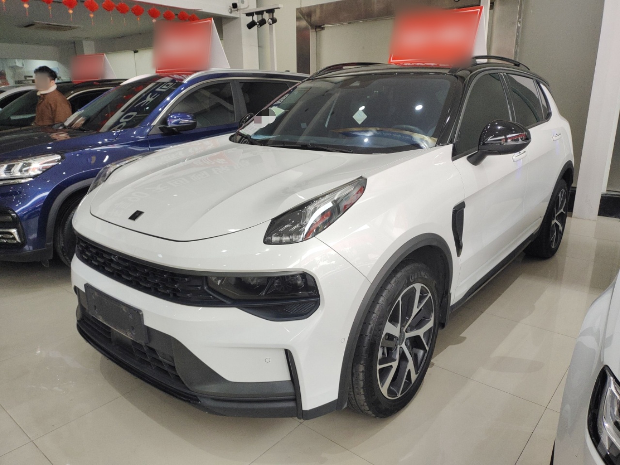 Parte inferior delantera