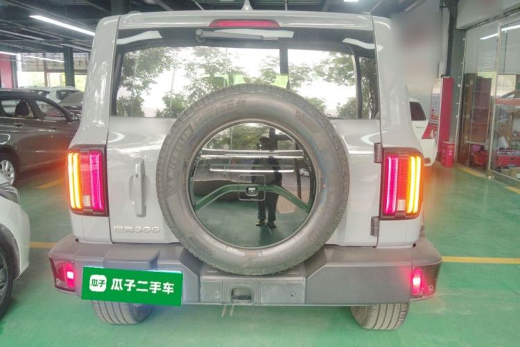 Used Tank 300 2024 2.0T Crosser