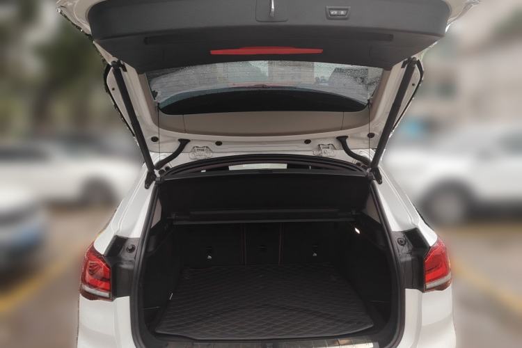 Used BMW X1 2020 sDrive20Li Premium Edition
