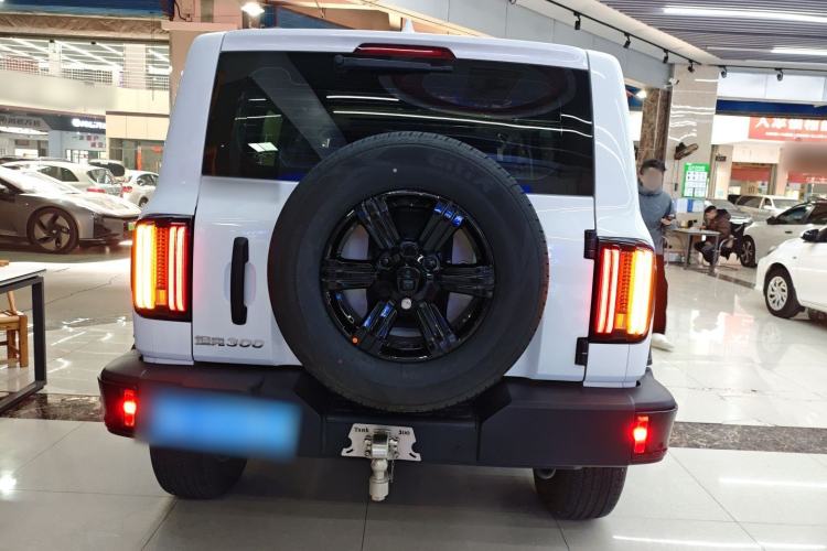 Used Tank 300 2025 2.0T Conqueror Rear