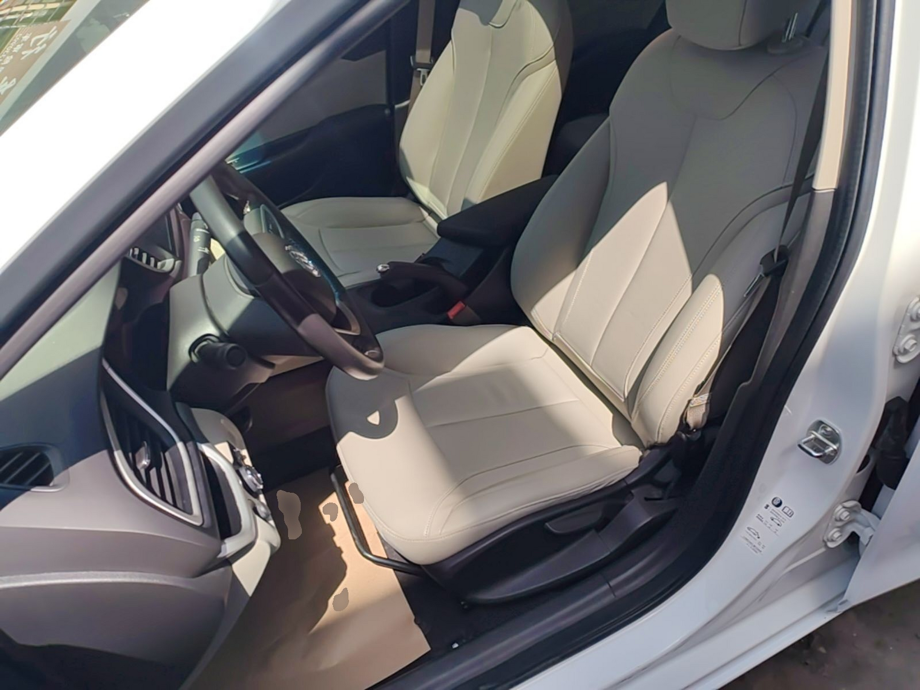 Interior delantero