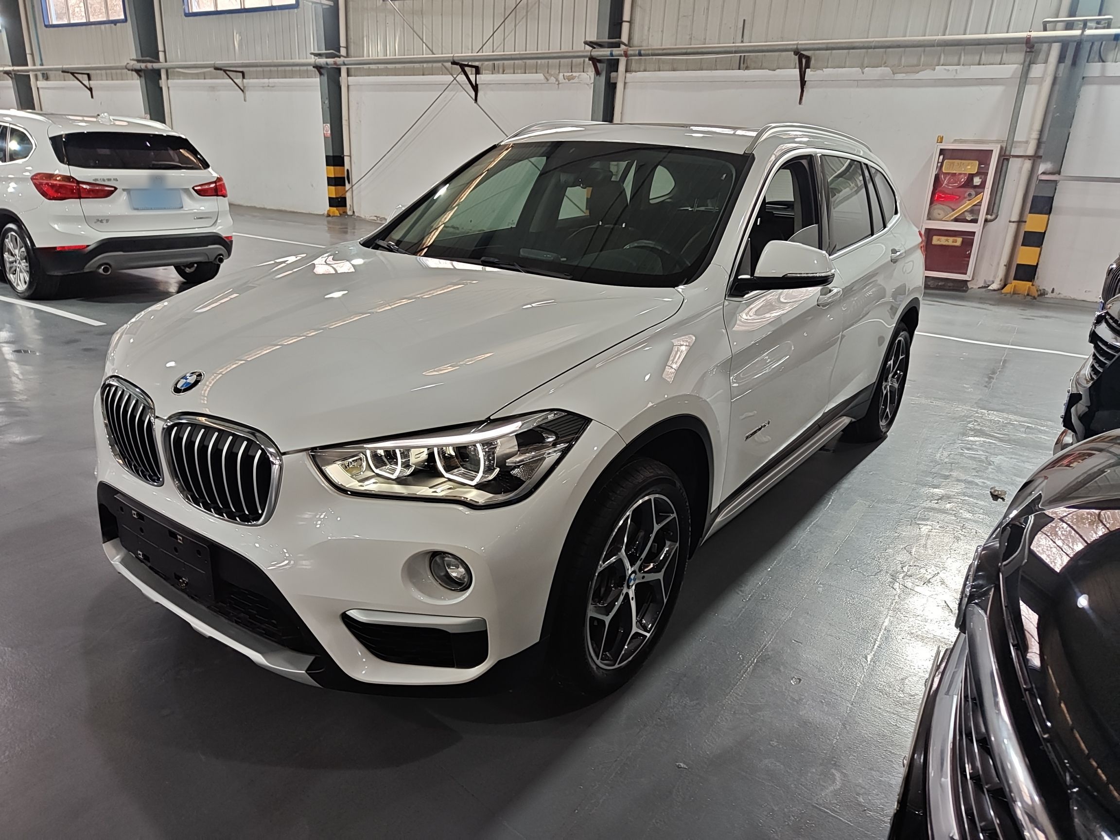 Parte inferior delantera