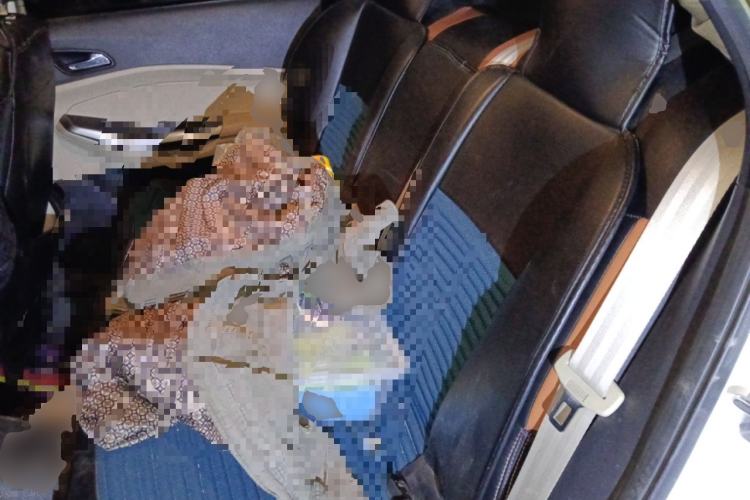 Used Ford Escort 2015 1.5L Manual Comfort Model Left Rear Seat