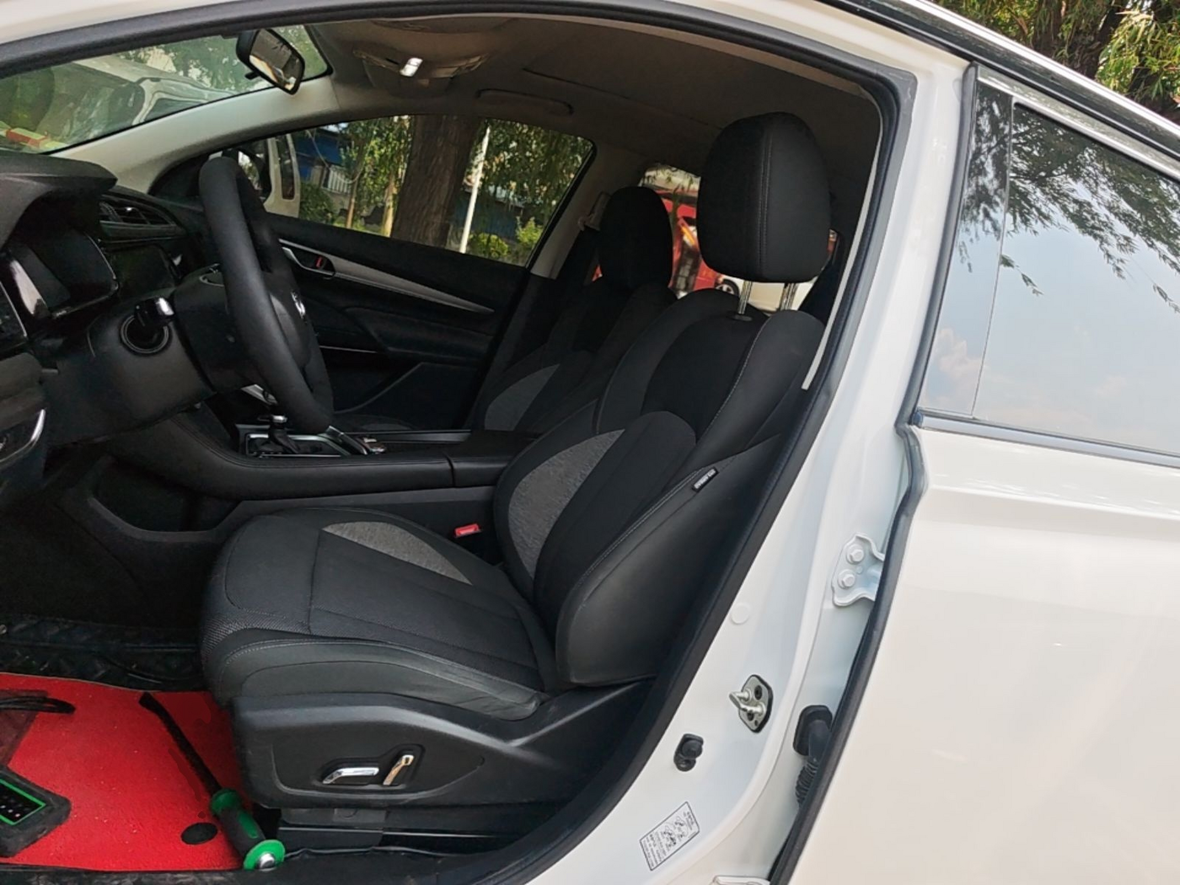 Interior delantero